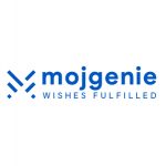 MOJGENIE IT SOLUTIONS PRIVATE LIMITED