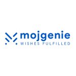 MOJGENIE IT SOLUTIONS PRIVATE LIMITED